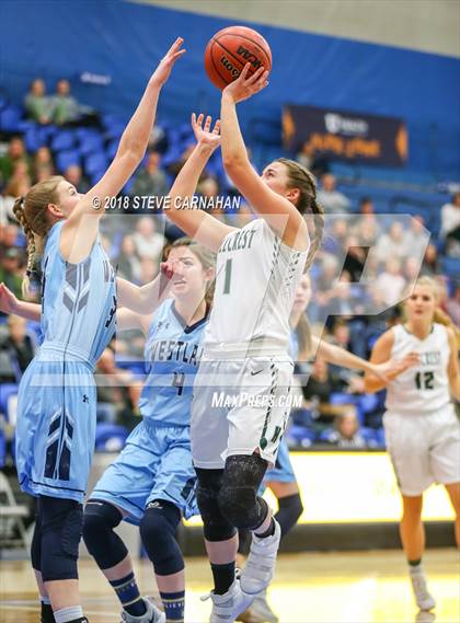 Thumbnail 1 in Hillcrest vs. Westlake (UHSAA 6A Quarter Final) photogallery.
