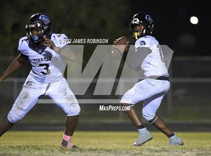 Thumbnail 2 in ED White @ Ribault photogallery.