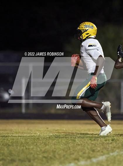 Thumbnail 1 in ED White @ Ribault photogallery.