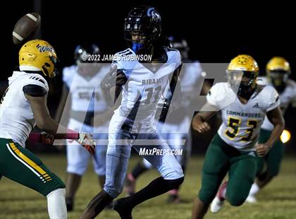 Thumbnail 3 in ED White @ Ribault photogallery.