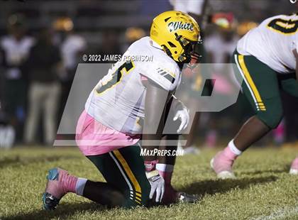 Thumbnail 1 in ED White @ Ribault photogallery.