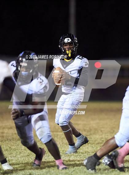 Thumbnail 3 in ED White @ Ribault photogallery.