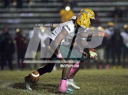 Thumbnail 2 in ED White @ Ribault photogallery.