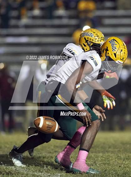 Thumbnail 1 in ED White @ Ribault photogallery.