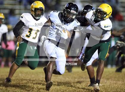 Thumbnail 2 in ED White @ Ribault photogallery.