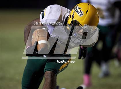 Thumbnail 3 in ED White @ Ribault photogallery.