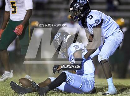 Thumbnail 3 in ED White @ Ribault photogallery.