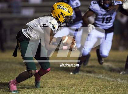 Thumbnail 3 in ED White @ Ribault photogallery.