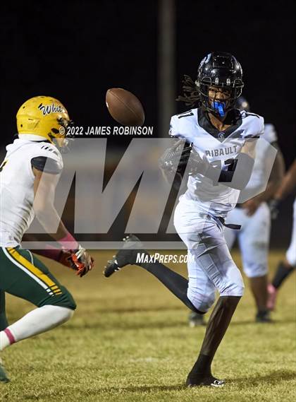 Thumbnail 2 in ED White @ Ribault photogallery.