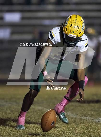 Thumbnail 2 in ED White @ Ribault photogallery.
