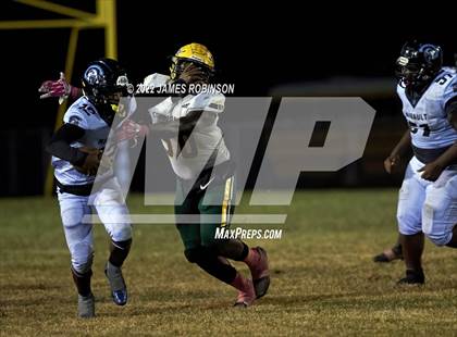 Thumbnail 1 in ED White @ Ribault photogallery.