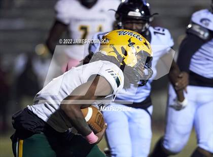 Thumbnail 2 in ED White @ Ribault photogallery.