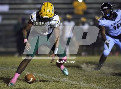Thumbnail 1 in ED White @ Ribault photogallery.