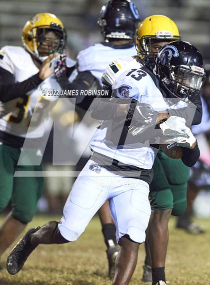 Thumbnail 1 in ED White @ Ribault photogallery.