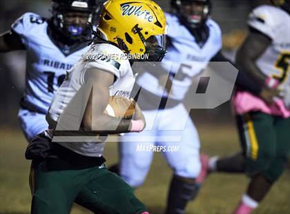 Thumbnail 3 in ED White @ Ribault photogallery.