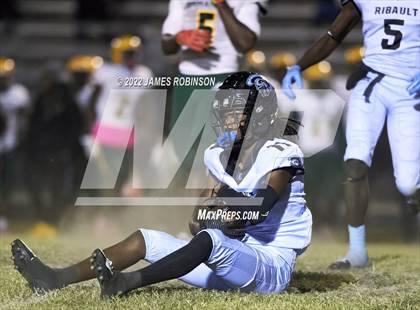 Thumbnail 1 in ED White @ Ribault photogallery.