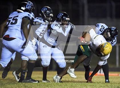 Thumbnail 3 in ED White @ Ribault photogallery.