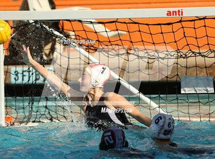 Thumbnail 2 in Archbishop Mitty vs Sacred Heart Prep (CIF CCS Quarter Finals) photogallery.