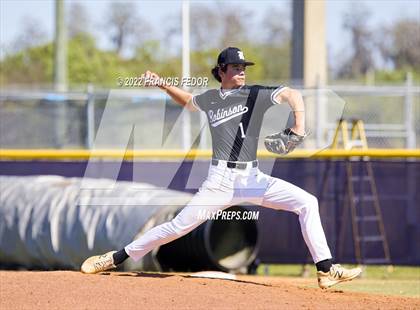 Thumbnail 1 in Lennard vs. Robinson photogallery.