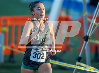 Thumbnail 1 in Chandler Rotary Invitational photogallery.