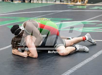 Thumbnail 3 in IHSAA Indianapolis Arsenal Technical Sectional photogallery.