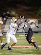Photo from the gallery "West Park @ Laguna Creek"