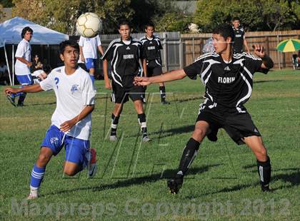 Thumbnail 2 in Florin @ Valley photogallery.