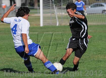 Thumbnail 2 in Florin @ Valley photogallery.