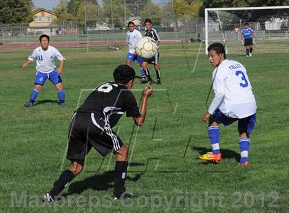 Thumbnail 3 in Florin @ Valley photogallery.