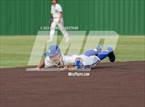 Photo from the gallery "Mesquite @ Sunnyvale"