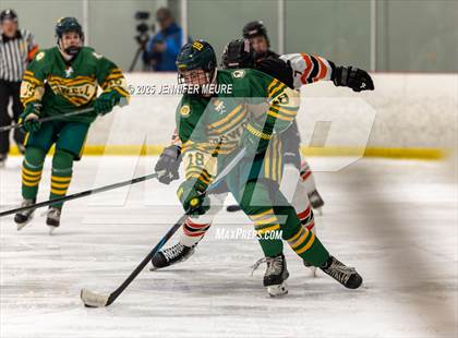 Thumbnail 3 in Howell @ Brighton photogallery.