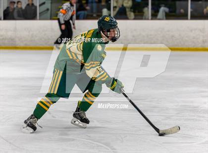 Thumbnail 2 in Howell @ Brighton photogallery.