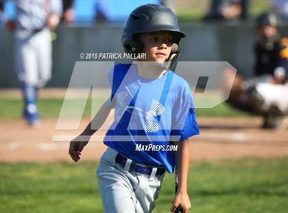 Thumbnail 3 in Rocklin @ Oak Ridge photogallery.