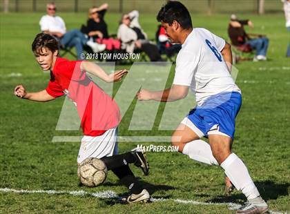 Thumbnail 1 in Azusa vs. Arrowhead Christian (CIF SS D6 Wildcard) photogallery.