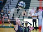Photo from the gallery "Trinity Catholic @ Forest"