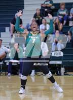 Photo from the gallery "Trinity Catholic @ Forest"