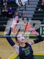 Photo from the gallery "Trinity Catholic @ Forest"