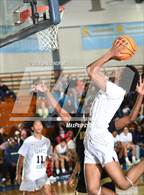 Photo from the gallery "Knight @ Quartz Hill"