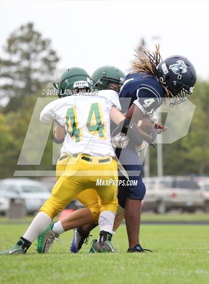 Thumbnail 3 in Bemidji vs Sauk Rapids-Rice photogallery.