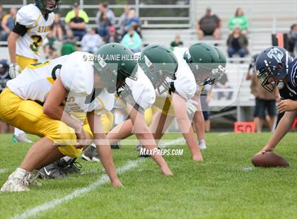 Thumbnail 2 in Bemidji vs Sauk Rapids-Rice photogallery.