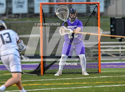 Thumbnail 3 in Porter Ridge @ Ardrey Kell photogallery.