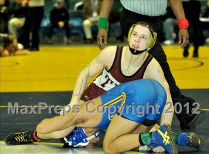 Thumbnail 2 in 2012 NYSPHSAA Boys Wrestling Championships (D2 Finals & Podiums) photogallery.