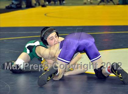 Thumbnail 1 in 2012 NYSPHSAA Boys Wrestling Championships (D2 Finals & Podiums) photogallery.