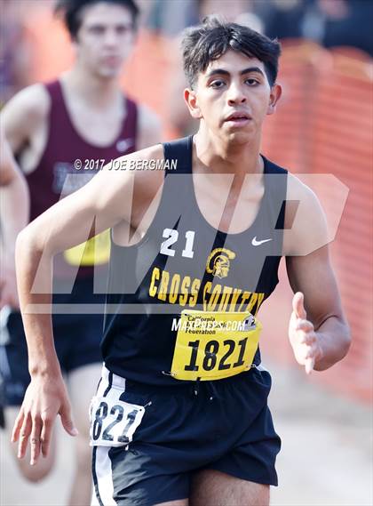 Thumbnail 1 in CIF State Cross Country Championships (Boys D5 Race) photogallery.