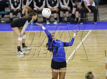 Thumbnail 1 in Grandview vs Highlands Ranch (CHSAA 5A Playoff) photogallery.