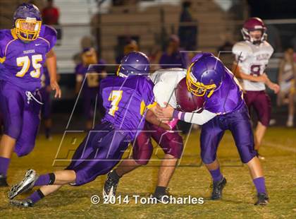 Thumbnail 1 in Callisburg @ Farmersville photogallery.