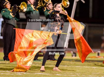 Thumbnail 1 in Hamilton @ Basha photogallery.
