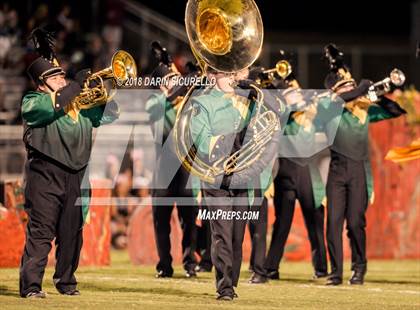 Thumbnail 3 in Hamilton @ Basha photogallery.