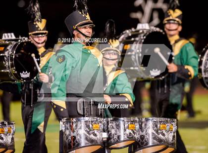Thumbnail 2 in Hamilton @ Basha photogallery.
