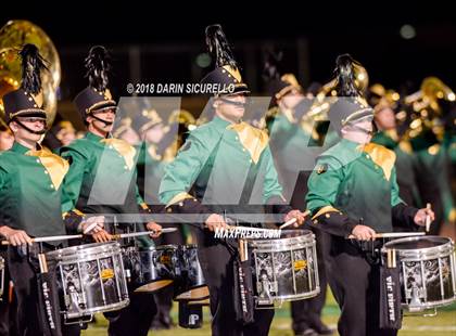 Thumbnail 1 in Hamilton @ Basha photogallery.